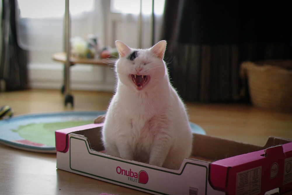 当詹姆斯在数据簿写诗，山西队正把太阳缝进篮筐