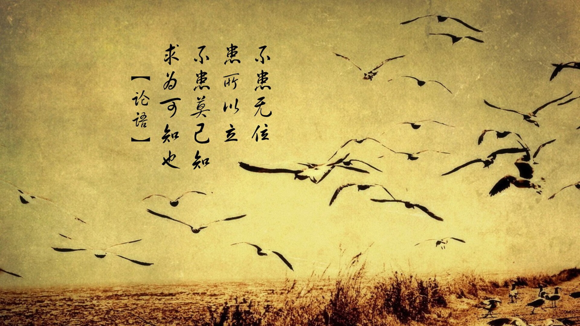 穹顶之下，浓眉独臂擎天