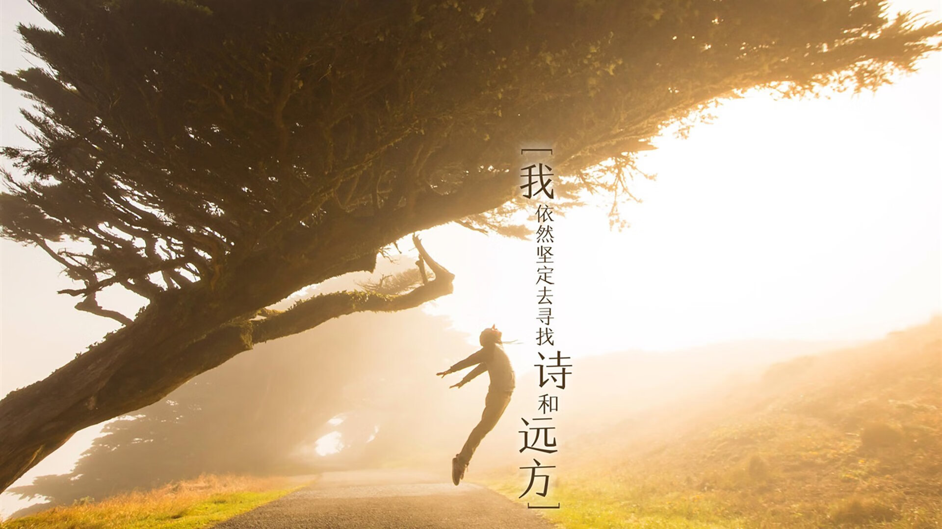 纪录与胜利，特奥闪耀里昂决胜局带走尼斯