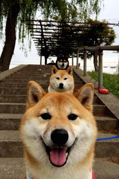 双城记，尼斯海岸的绝地反击与慕尼黑夜空的生命之舞