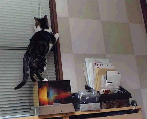 绿茵剧场的独舞者，当阿拉巴成为全场焦点，巴黎如何以战术之名完胜秘鲁