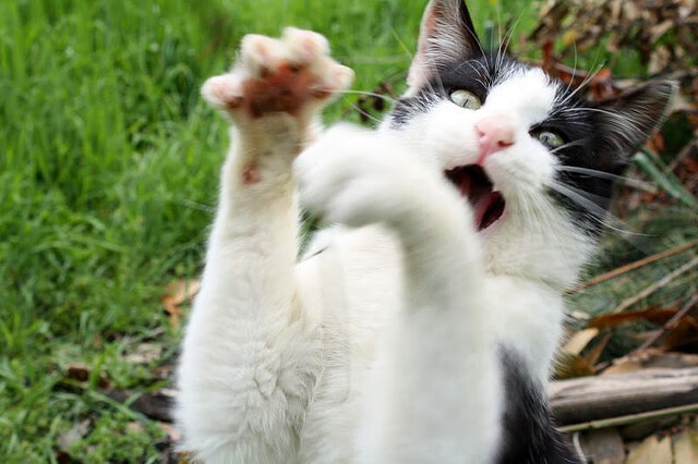 哈登末节救主，老鹰爆冷逆袭广东！关键先生诠释何为大场面