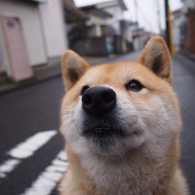 跨次元决胜，当哈登的爆发照亮新疆队的暗夜