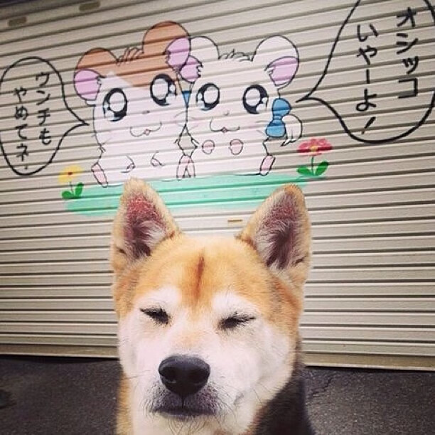 F1街道赛之夜，维尼修斯的过人如精准制动点