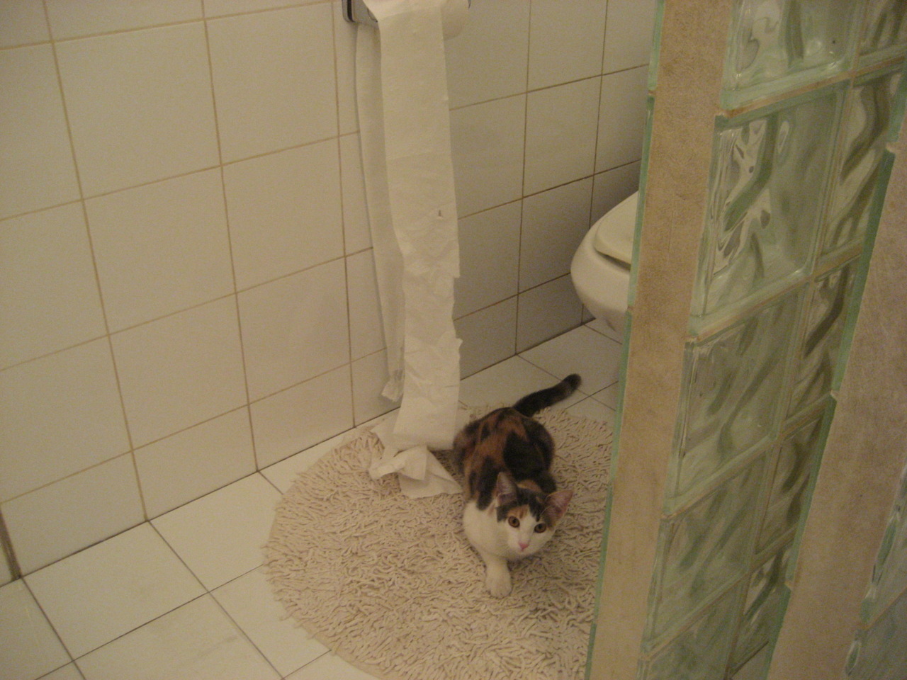 爱游戏2026-改写亚洲足球印象的一夜，李刚仁如何点燃尼日利亚的逆转火炬？