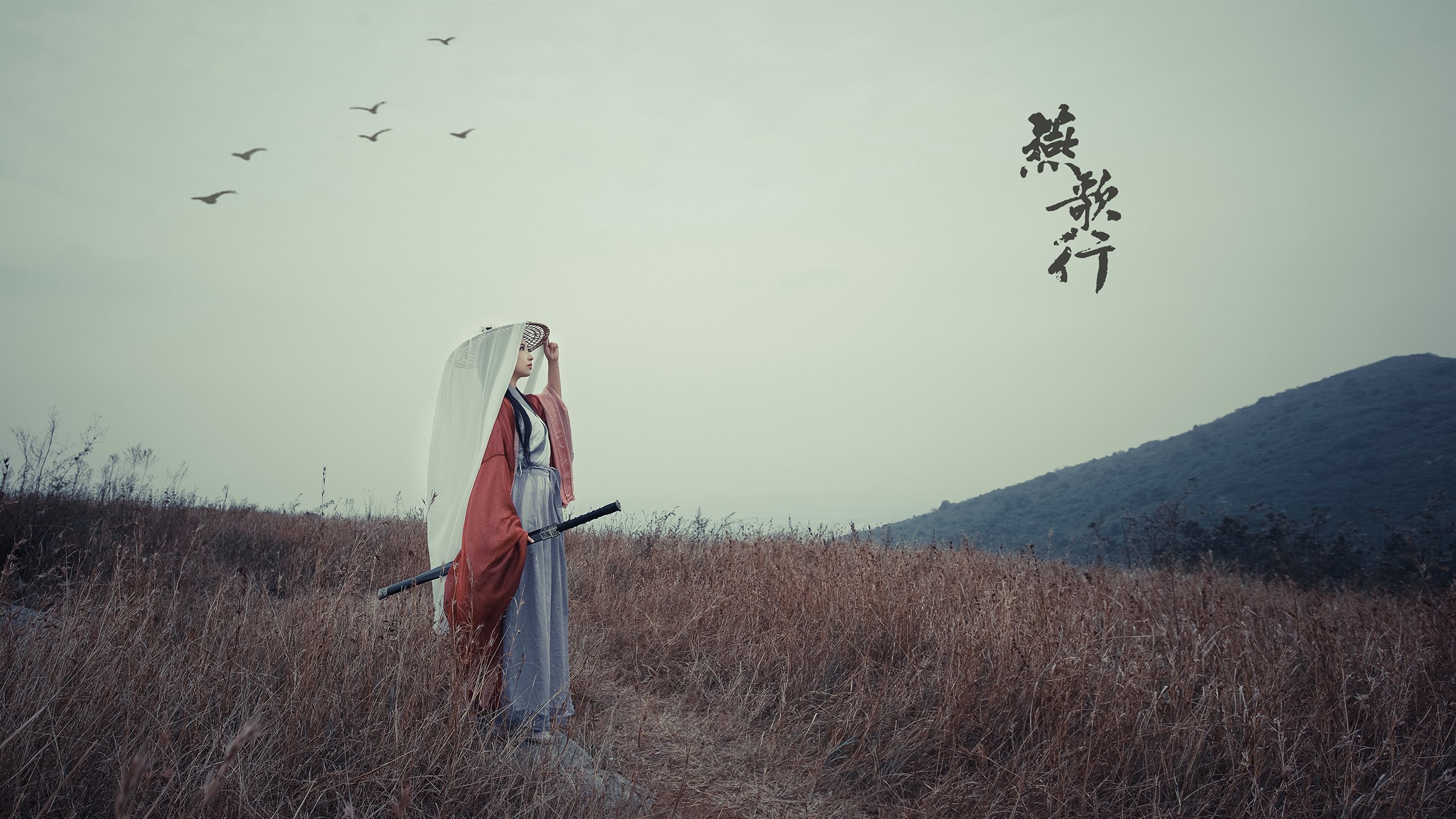 当霍勒迪遇见霍勒迪,广厦奇兵,在NBA的地板上刻下自己的名字