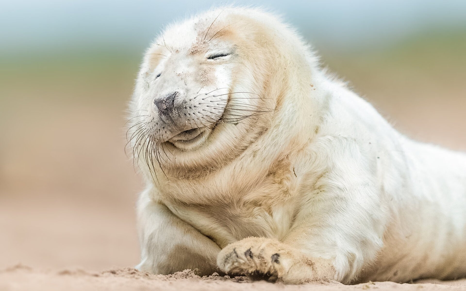 赛道与球场的交响，灰熊以F1街道赛的终极速度终结开拓者