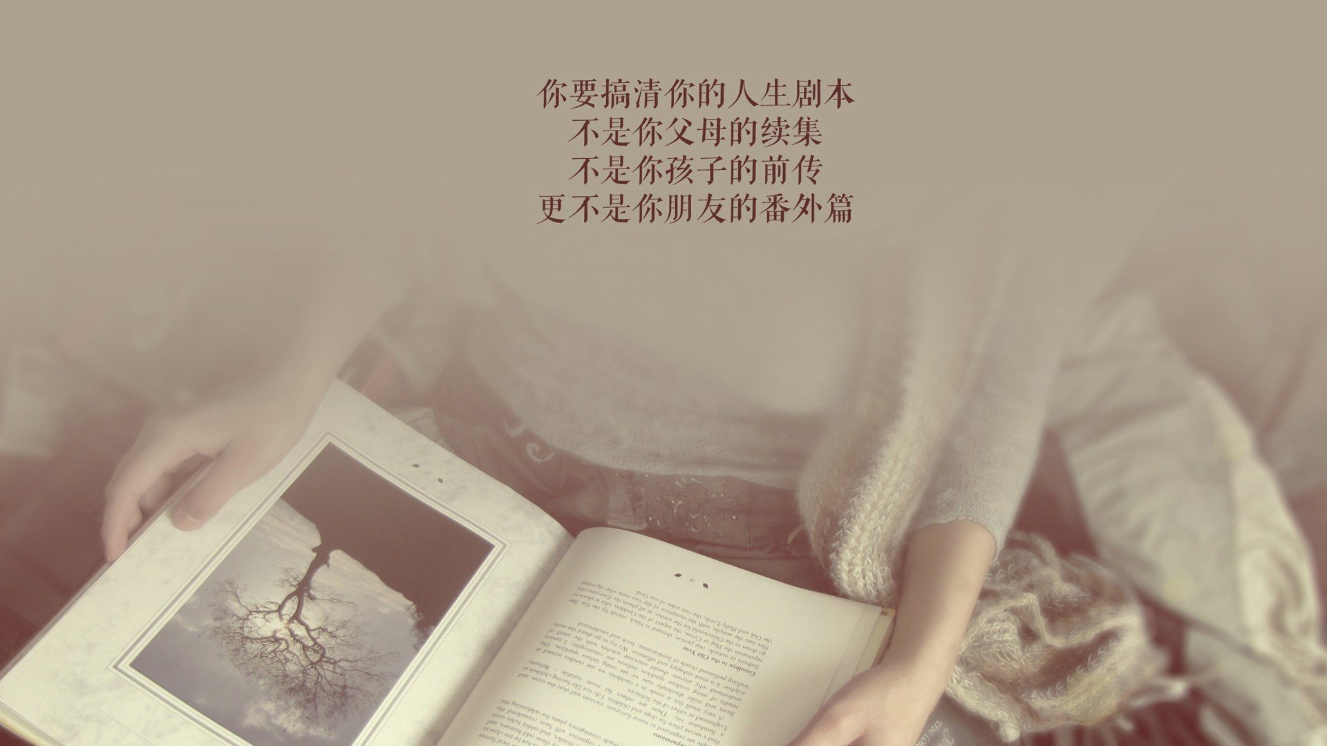 雪山与郁金香的终章,当范戴克的铁幕撞碎冰岛神话