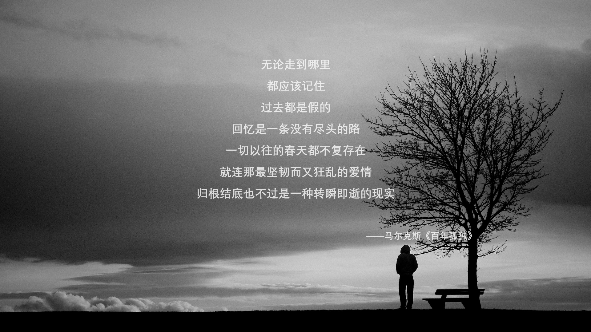 冰与火的临界点,罗德里戈统领极光防线,冰岛在2026世界杯生死战中吞噬北欧宿敌