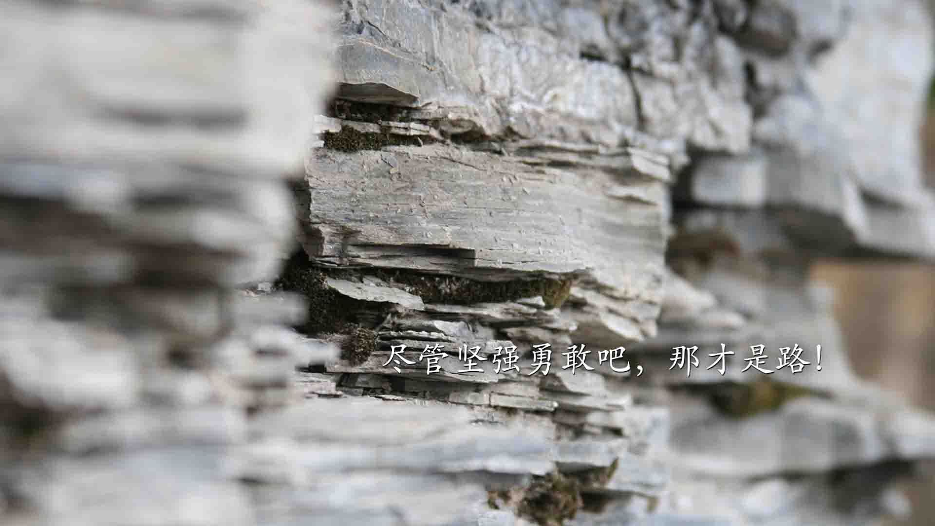 九十分钟的永恒，2026世界杯巅峰对决，澳大利亚完胜挪威，托纳利用双脚写下唯一传奇